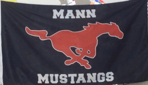 mustangs flag